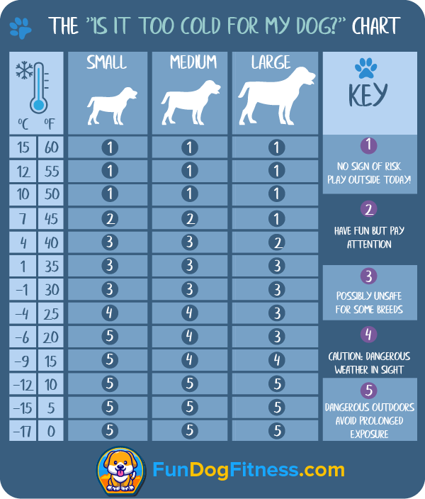 Free cold temperature chart for walking your pooch!