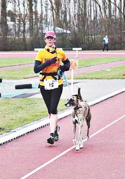Dog running a marathon