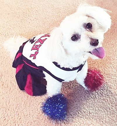 Groomed and ready to go!